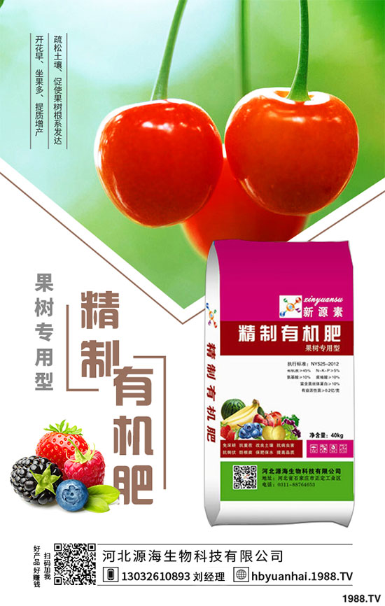 苦瓜種植施肥的兩大誤區(qū)，種植苦瓜需要注意哪些條件？