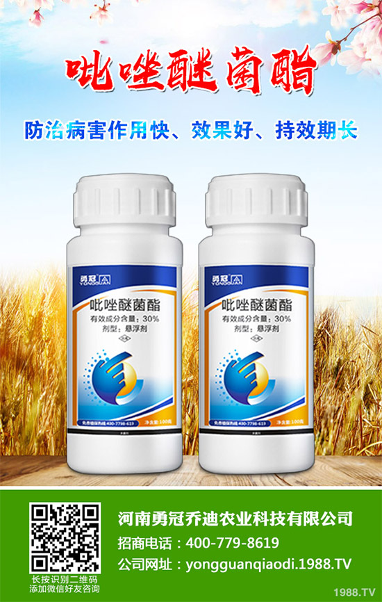     ���ܚ������r��