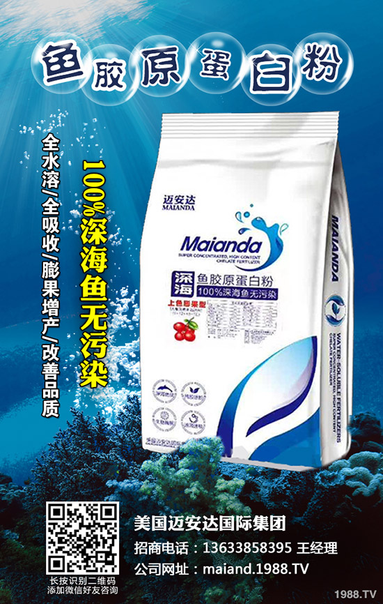     ���؃r��Ҋ�������վֲ��^(q��)�������Ј�����2019-11-19