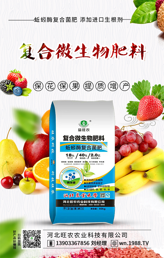 番茄卷葉發(fā)生原因，番茄卷葉防控措施！