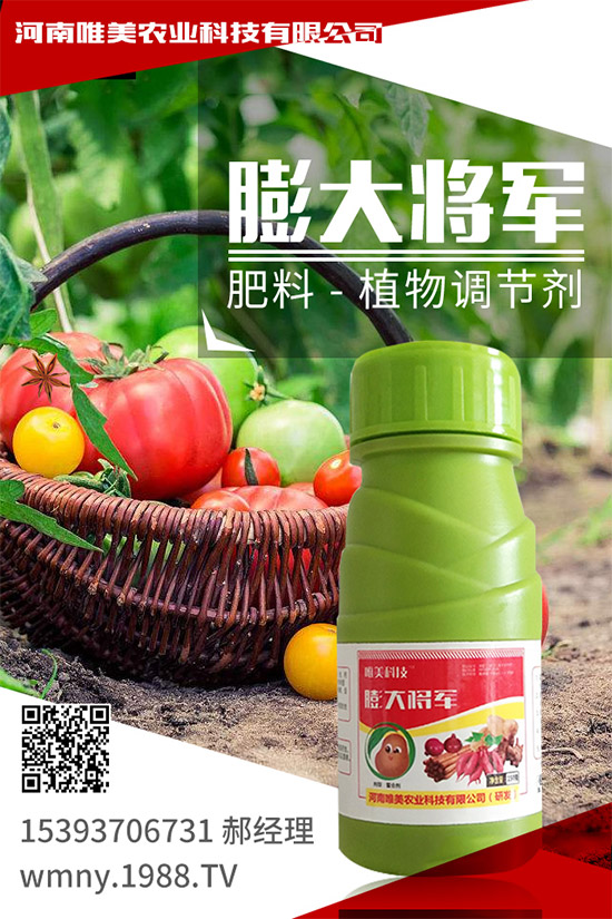 ������ݮ���ʩ�ʣ������ߴ���ĵر�ض���