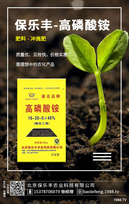 白菜白斑病危害、發(fā)病規(guī)律有哪些？白菜白斑病如何防控？