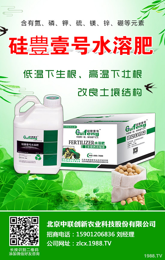 辣椒的種植要點(diǎn)有哪些，辣椒地膜覆蓋栽培技術(shù)！