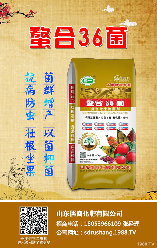     二銨市場(chǎng)行情低迷！2019年11月7日今日磷酸二銨價(jià)格早報(bào)