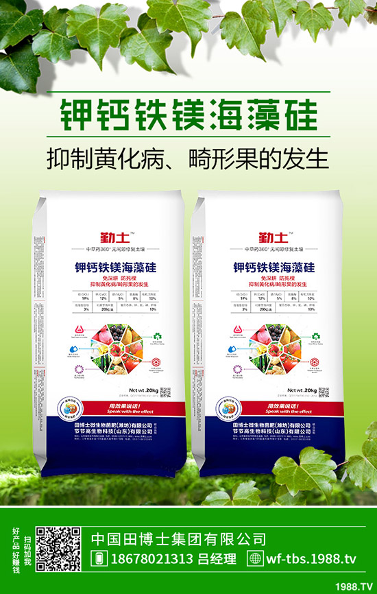     2019��11��8������⛷������߄��A(y��)�y���Ȼ�⛳��S��rһ�[