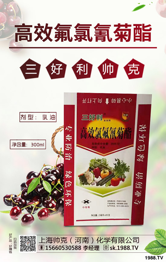 蒜黃一般是什么時(shí)間播種，蒜黃的種植技巧有哪些？