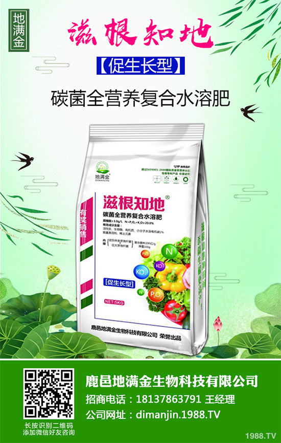 蔓荊子多少錢一斤？2020年蔓荊子種植前景及效益分析