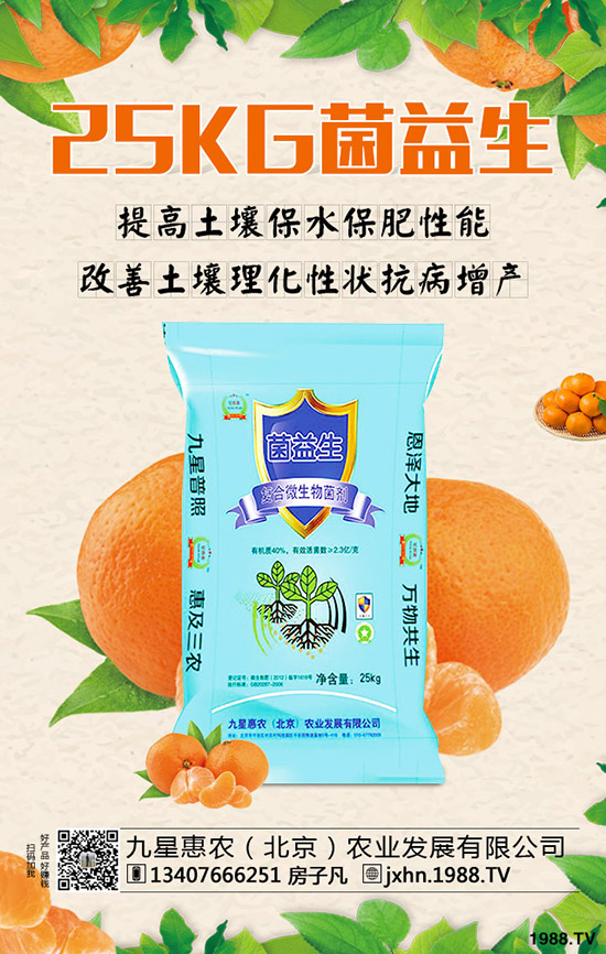 ���Ә���ô�Nֲ�����Ә�������g(sh��)��