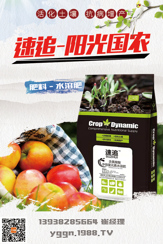     ����ꖹ���r(n��ng)�ٴΔy��1988.TV�����A2020���ل�(chu��ng)�x����