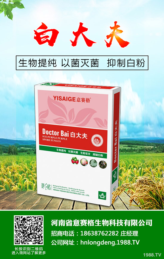 ���Ѷ���ʲô�r���^�������Ѷ�����ʲô������