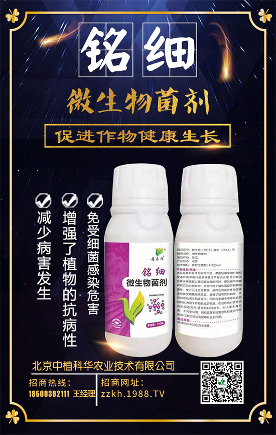 ��ռ�̙C(j��)���������A��������ֲ���A�ٺ�1988.TV���ل�(chu��ng)���x����