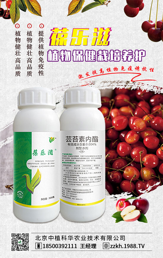 ��ռ�̙C(j��)���������A��������ֲ���A�ٺ�1988.TV���ل�(chu��ng)���x����