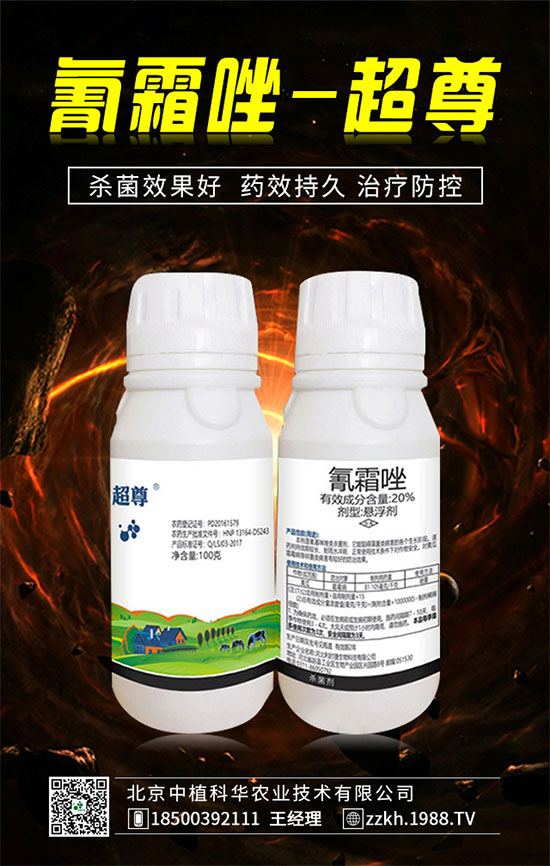 ��ռ�̙C(j��)���������A��������ֲ���A�ٺ�1988.TV���ل�(chu��ng)���x����