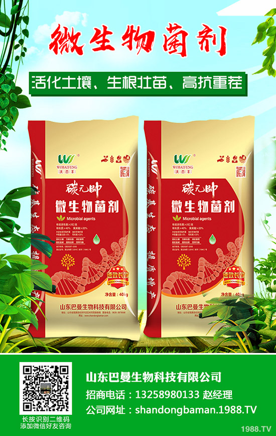     �R�����P(gu��n)������(ji��)���g������I(y��)����ͣ�a(ch��n)��2019��12��ĩ�������������߄�(sh��)��