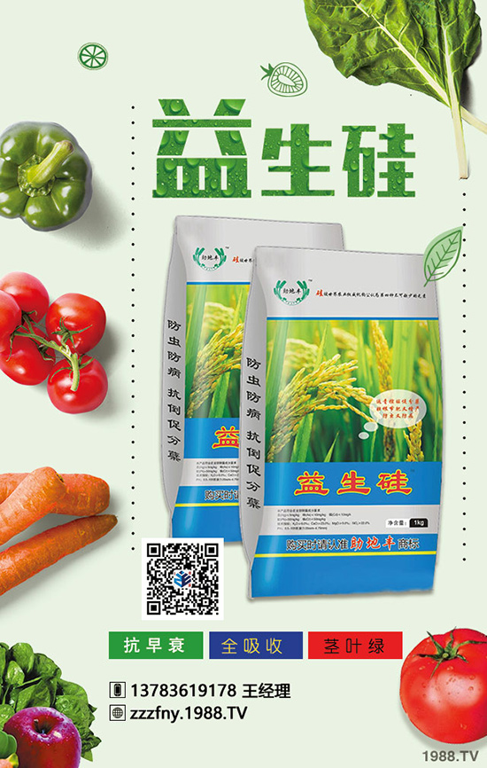 ��������O�����Ϸʼ��g(sh��)���@���c(di��n)��W(xu��)��(hu��)�����a(ch��n)������