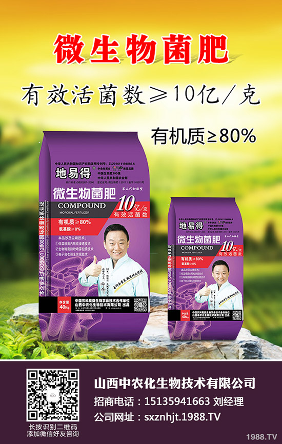     2020早春玉米在那些地區(qū)種植合適？春玉米種植播種時期及技術要點！