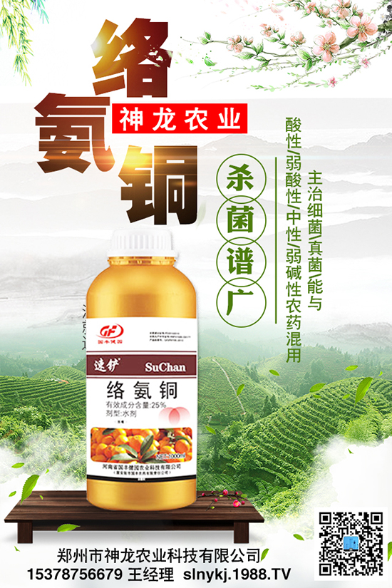 ���Ϻò������|(zh��)�����P(gu��n)�I��Ч������������Ҫ��