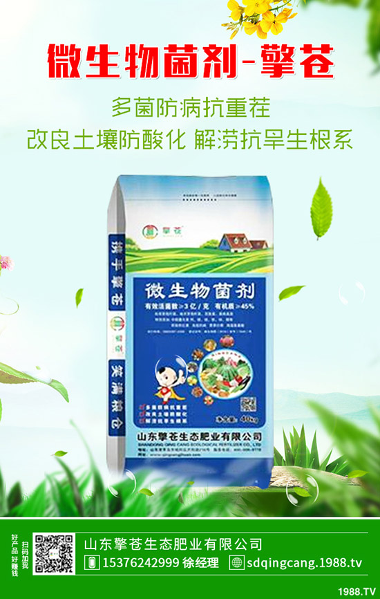     2019-12-7磷酸一銨行情低迷！今日一銨最新價格早報！