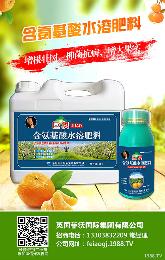 我國南方該怎樣種植藍(lán)莓？藍(lán)莓高產(chǎn)種植技術(shù)要點(diǎn)