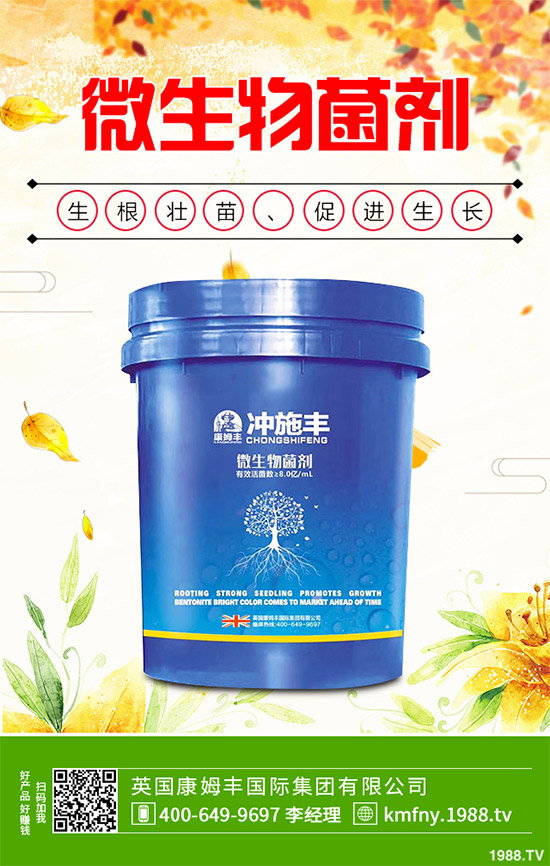 我國南方該怎樣種植藍(lán)莓？藍(lán)莓高產(chǎn)種植技術(shù)要點(diǎn)