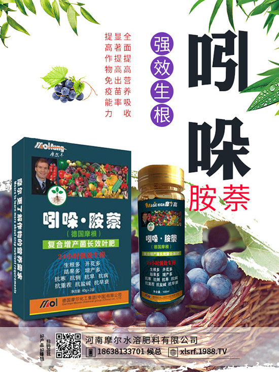 煙草主產(chǎn)地在哪里，煙草種植方法有哪些？