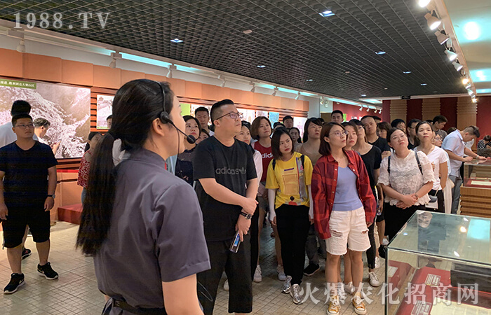 ���мtɫ�Ļ������ܼtɫ����