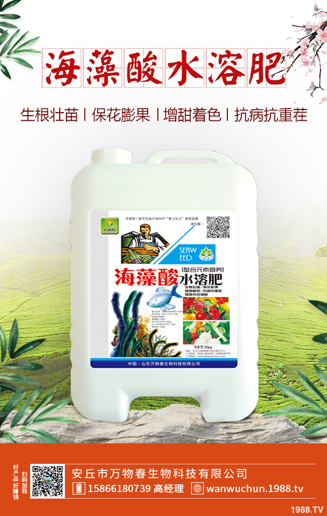 紫皮蒜怎么種植？紫皮蒜的種植管理方法