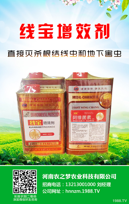 �۲�ܛ�������������ģ�ԓ���ӷ����������������