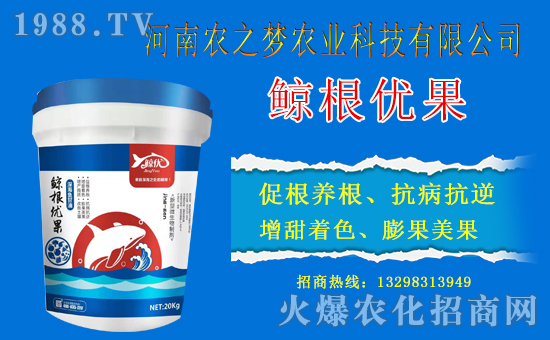 �������x������(j��)�������r(n��ng)֮��(m��ng)�r(n��ng)�I(y��)�Ƽ��y�r(n��ng)���W(w��ng)�������x����