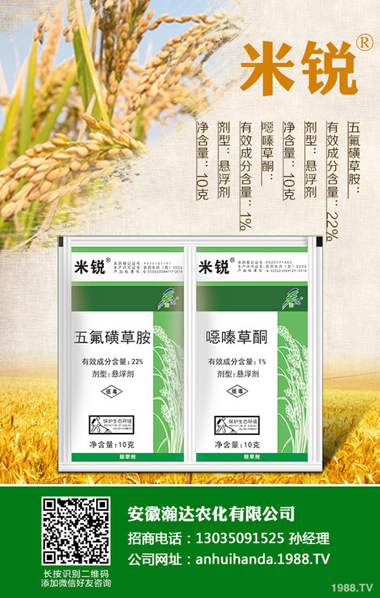 吃菠菜有哪些好處？菠菜的營養(yǎng)價值有哪些？