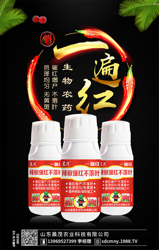 辣椒催紅早熟早上市！辣椒催紅不落葉，就用“一遍紅”！效果好實力強！