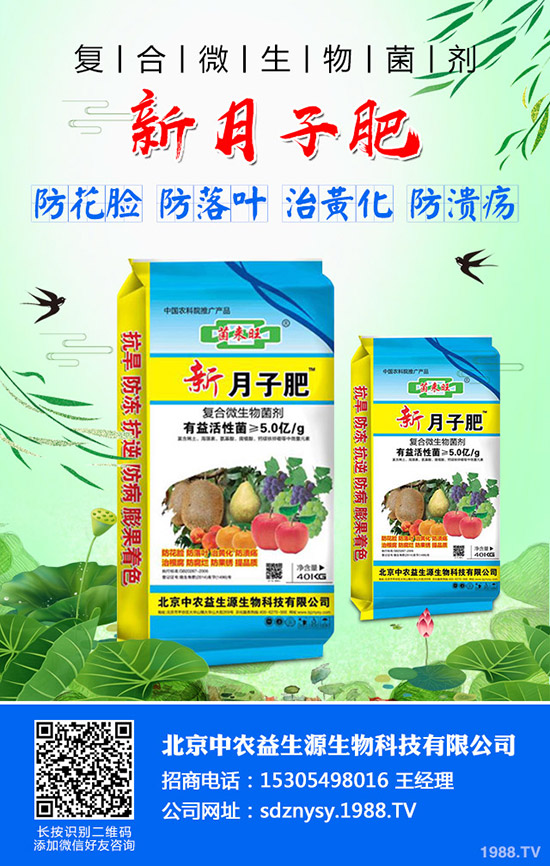 �＾��ײ�ʲô�r(sh��)��Nֲ���m���＾��ײ˵ķNֲ�r(sh��)�g���Nֲ����