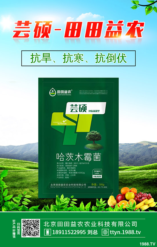 蔬菜葉子發(fā)黃是什么原因，蔬菜黃葉防治技巧！