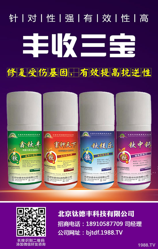 大蒜如何施肥才能高產(chǎn)，大蒜高產(chǎn)施肥技術！