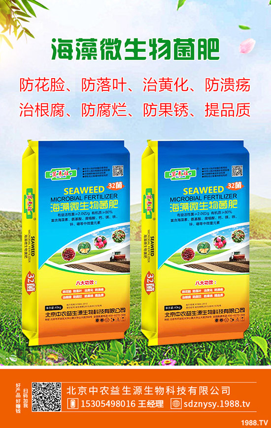 ����ʲô�r��Nֲ������һ����³�����