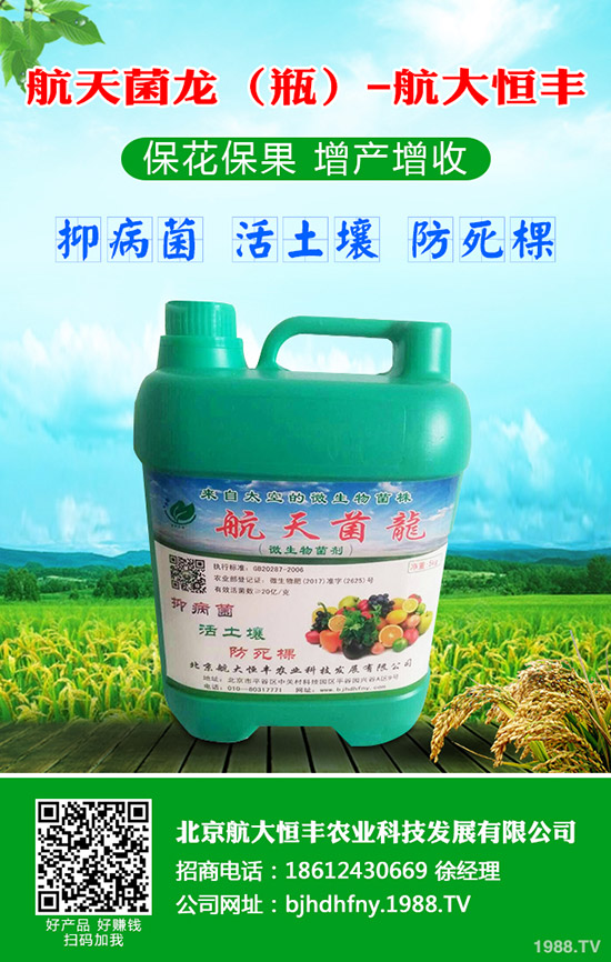 青蘿卜什么時(shí)候種植，青蘿卜栽培要點(diǎn)！