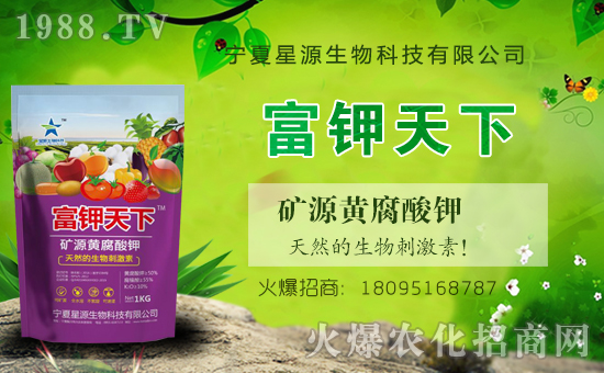 ��Դ�������v���r(n��ng)���W(w��ng)���_���W(w��ng)�j(lu��)������������