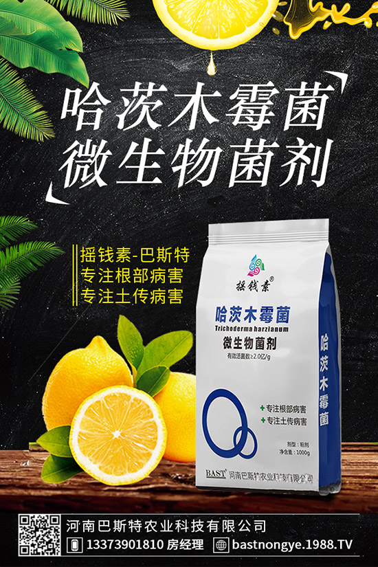 虎皮蘭爛根怎么辦，虎皮蘭爛根的防治措施！