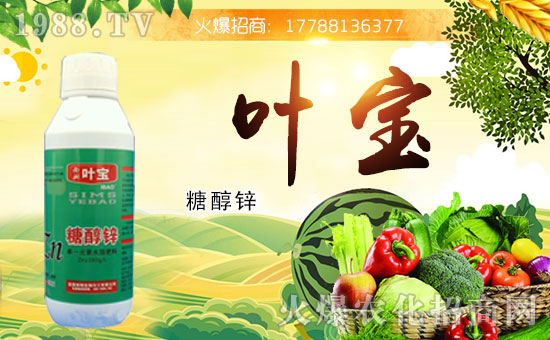 ���������������ό��~�y��1988.TV������W(w��ng)�j(lu��)�������E��