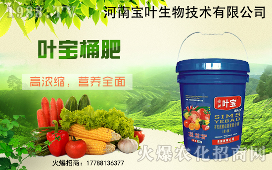 ���������������ό��~�y��1988.TV������W(w��ng)�j(lu��)�������E��