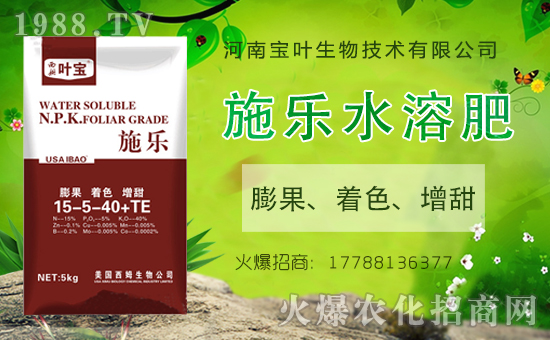 ���������������ό��~�y��1988.TV������W(w��ng)�j(lu��)�������E��