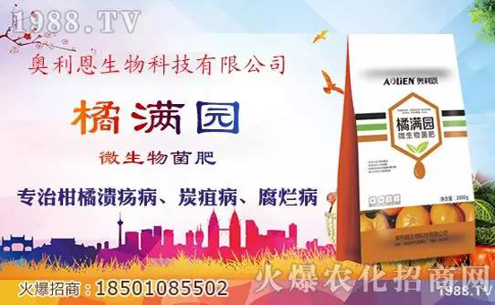 �W�����������v���r(n��ng)���W(w��ng)���_(k��i)���W(w��ng)�j(lu��)������������