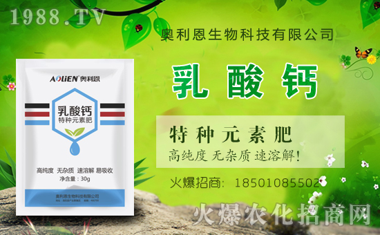 �W�����������v���r(n��ng)���W(w��ng)���_(k��i)���W(w��ng)�j(lu��)������������