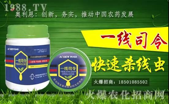 �W�����������v���r(n��ng)���W(w��ng)���_(k��i)���W(w��ng)�j(lu��)������������