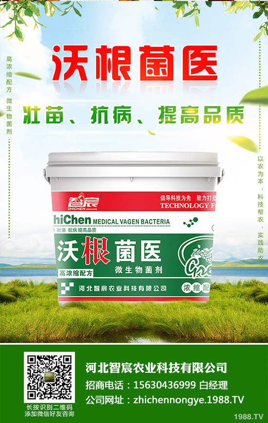 �Ծ��Ĳ�����Щ��̎�����Ĳ˵Ĺ�Ч��������