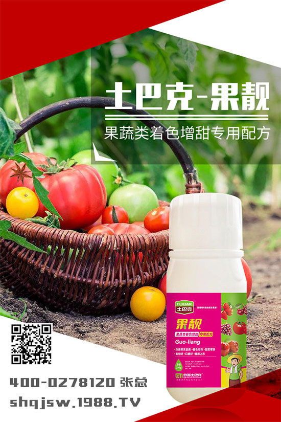 南瓜種植時(shí)間是什么時(shí)候？南瓜的播種方法及栽培技術(shù)!