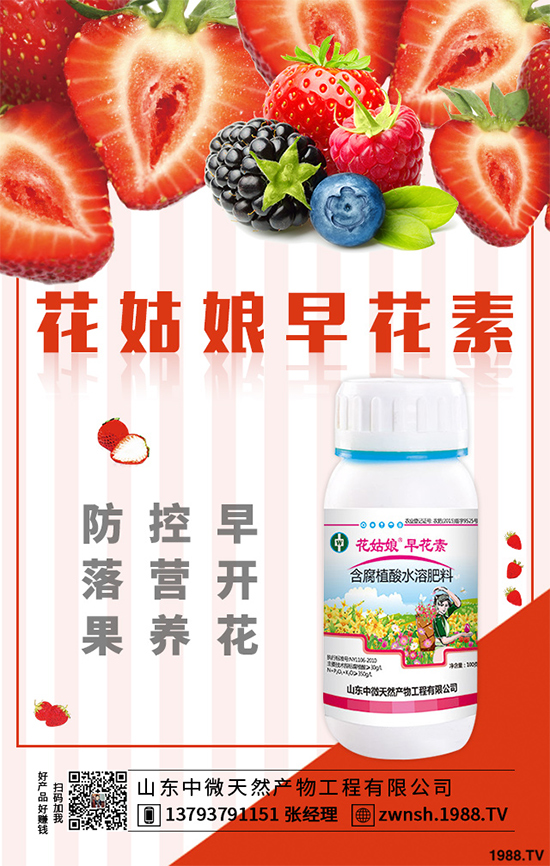 ���[���ڲ�������ЩΣ�����F(xi��n)��ԓ����A�������[���ڲ����A����ʩ