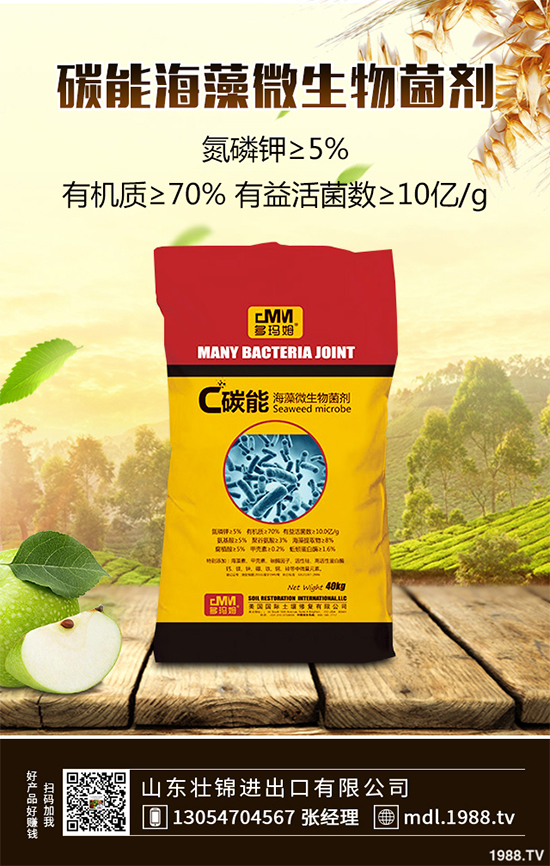 ���[�ϰ߲�����ЩΣ�������������������[�ϰ߲��ķ��δ�ʩ