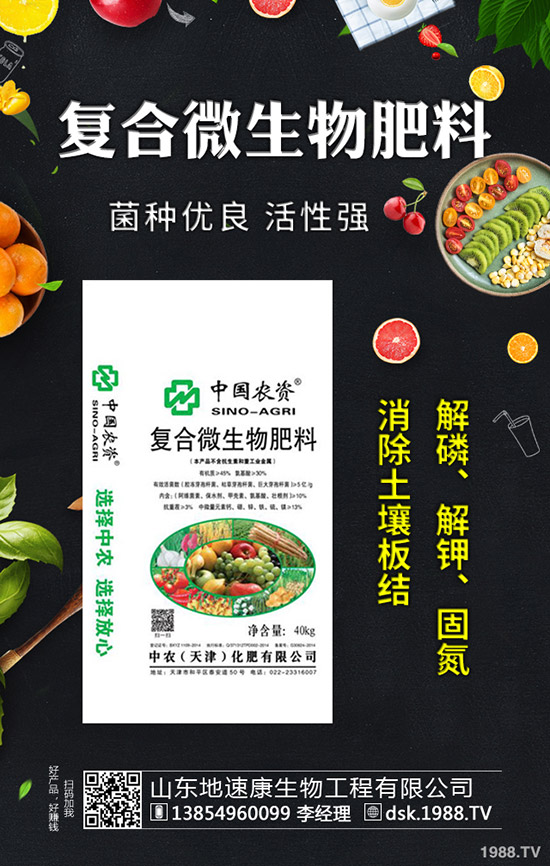     秋芹菜什么時(shí)間定植合適？秋芹菜種植時(shí)間及種植技術(shù)！