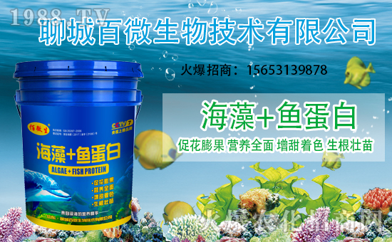 �������x���������ĳǰ�΢���m(x��)ǰ�����y���r���W����(chu��ng)���x����